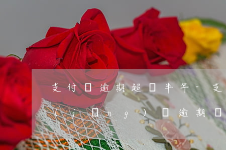 支付寶逾期超過半年-支付寶逾期半年,已經(jīng)將逾期還上