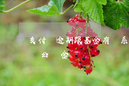 支付寶逾期跟基金有關系嗎(支付寶逾期會影響公積金嗎)