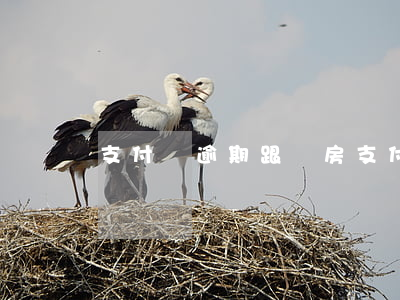 支付寶逾期跟買房(支付寶逾期跟買房)