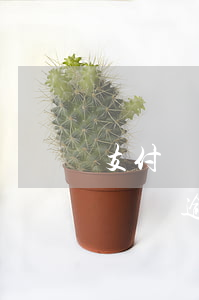 支付寶逾期身份證不能用了怎么辦-支付寶賬號逾期還能再認證新賬號嗎