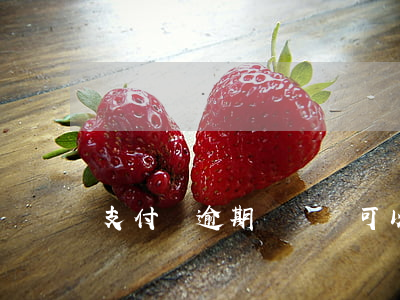 支付寶逾期車輛還可以年檢嗎(汽車逾期年檢)