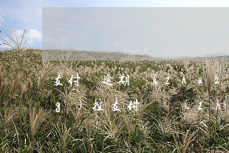 支付寶逾期轉(zhuǎn)交風(fēng)控(支付寶轉(zhuǎn)賬風(fēng)控解除)