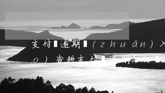支付寶逾期轉(zhuǎn)入調(diào)查科(支付寶逾期后的調(diào)查組)
