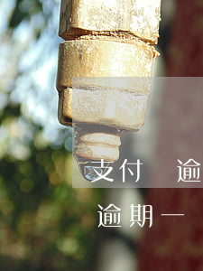 支付寶逾期轉(zhuǎn)戶籍地(支付寶逾期一個(gè)月后說要去戶籍地了解情況)