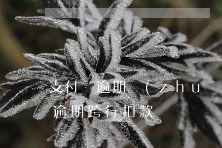 支付寶逾期轉(zhuǎn)賬秒扣（支付寶逾期跨行扣款）