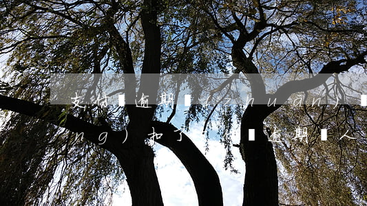 支付寶逾期轉(zhuǎn)賬自動(dòng)扣了(支付寶逾期別人轉(zhuǎn)錢被扣)