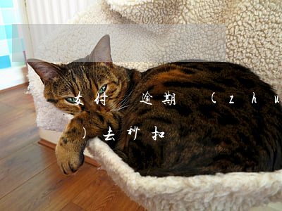 支付寶逾期轉(zhuǎn)賬過(guò)去秒扣嗎