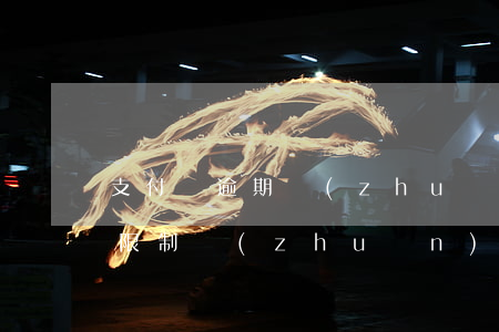 支付寶逾期轉(zhuǎn)賬限制(支付寶限制轉(zhuǎn)賬了怎么辦)