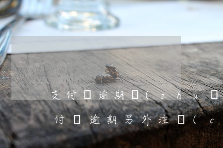支付寶逾期轉(zhuǎn)錢立馬扣嗎 支付寶逾期另外注冊(cè)一個(gè)轉(zhuǎn)錢進(jìn)去會(huì)不會(huì)扣