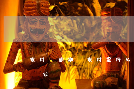 支付寶逾期轉支付是什么意思（逾期給支付寶對公轉賬）