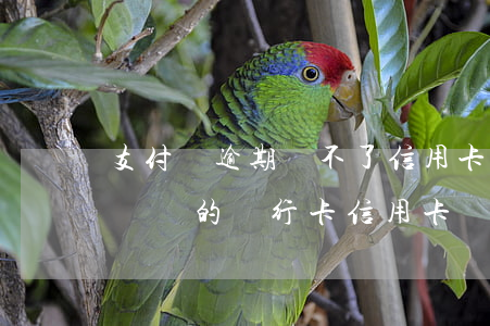 支付寶逾期辦不了信用卡嗎(支付寶逾期能申請別的銀行卡信用卡嗎)