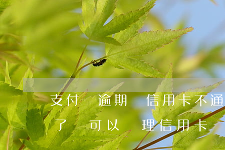 支付寶逾期辦信用卡不通過(支付寶花唄逾期了還可以辦理信用卡嗎?)