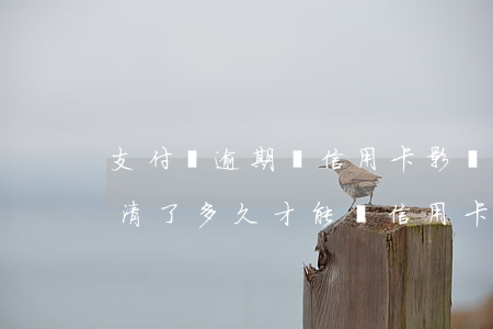 支付寶逾期辦信用卡影響嗎(支付寶逾期后還清了多久才能辦信用卡)