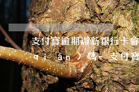 支付寶逾期辦新銀行卡會(huì)扣錢(qián)嗎-支付寶逾期辦新銀行卡會(huì)扣錢(qián)嗎安全嗎