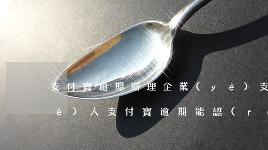 支付寶逾期辦理企業(yè)支付寶 個(gè)人支付寶逾期能認(rèn)證企業(yè)支付寶嗎