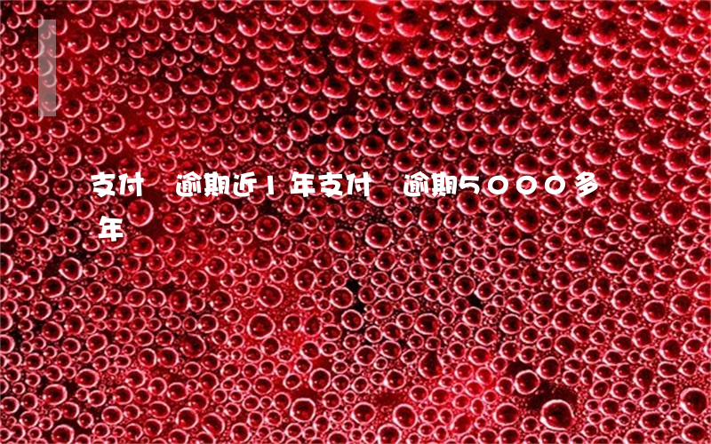 支付寶逾期近1年(支付寶逾期5000多兩年)