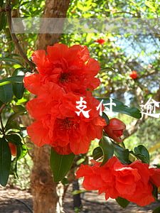 支付寶逾期通知上門核實不同意-