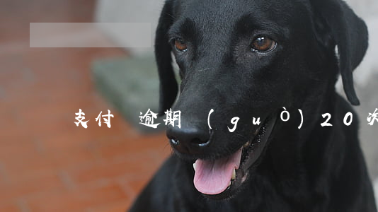 支付寶逾期過(guò)20次可以辦車貸嗎