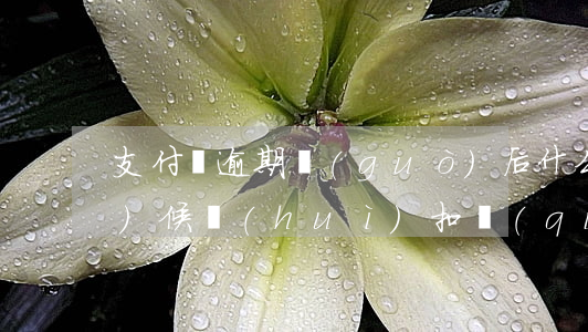 支付寶逾期過(guò)后什么時(shí)候會(huì)扣錢(qián)(支付寶逾期直接把錢(qián)扣了)