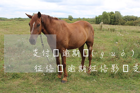 支付寶逾期過(guò)會(huì)影響征信嗎（逾期征信影響支付寶）