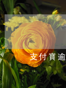 支付寶逾期過(guò)能辦信用卡