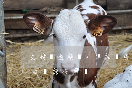 支付寶逾期過2年能買房嗎(支付寶逾期1年后還能使用嗎)