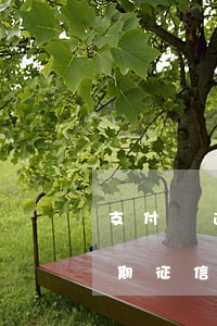 支付寶逾期過一次對征信有影響-支付寶逾期征信受影響嗎