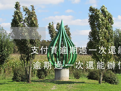 支付寶逾期過一次還能辦信用卡嗎-支付寶逾期過一次還能辦信用卡嗎知乎