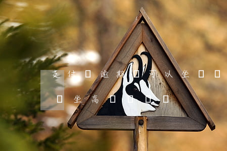 支付寶逾期過可以坐飛機嗎(支付寶逾期會影響坐高鐵飛機嗎)