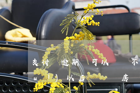 支付寶逾期過可以買車不(支付寶逾期對(duì)以后買車買房會(huì)不會(huì)影響)