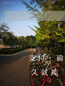 支付寶逾期過幾天還可以嗎（支付寶逾期后多久就能）