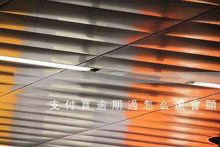 支付寶逾期過怎么還會顯示逾期-