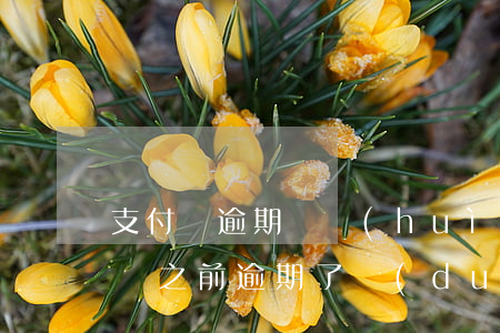 支付寶逾期過會(huì)影響買房嗎(支付寶之前逾期了對(duì)買房又有影響嗎)