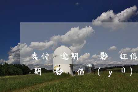 支付寶逾期過會影響征信嗎（支付寶短暫的逾期會影響信譽(yù)度嗎）