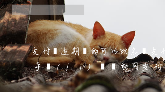 支付寶逾期過的可以改名嗎(支付寶逾期更換手機(jī)號還能用支付寶嗎)