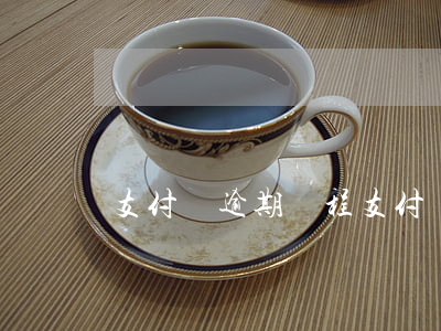 支付寶逾期過程(支付寶逾期怎么回事)
