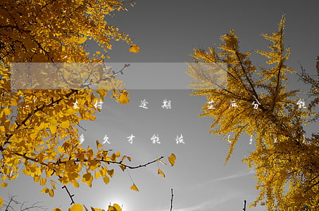 支付寶逾期過芝麻分還能漲嗎(支付寶逾期后多久才能恢復(fù)以前的芝麻分)
