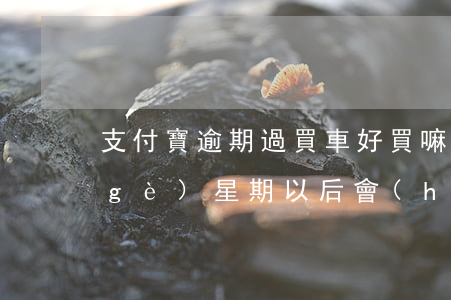 支付寶逾期過買車好買嘛 支付寶逾期一個(gè)星期以后會(huì)影響買車嗎