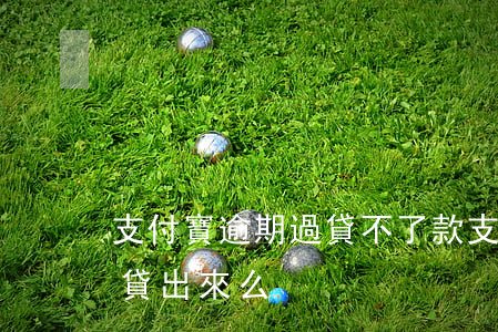 支付寶逾期過貸不了款(支付寶逾期貸款還能貸出來么)