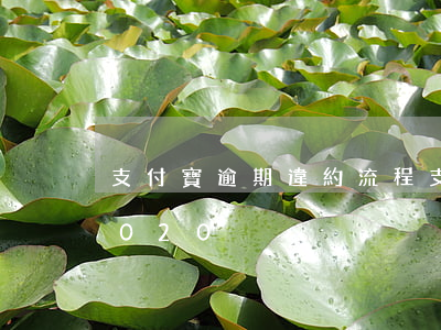 支付寶逾期違約流程(支付寶逾期處理方案2020)