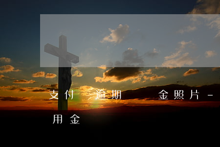 支付寶逾期違約金照片-支付寶逾期照片 備用金