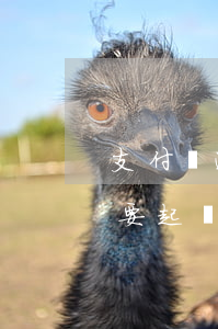 支付寶逾期還一些會起訴嗎 支付寶逾期了說要起訴了