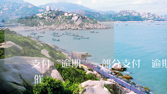 支付寶逾期還一部分(支付寶逾期還一部分還催嗎)