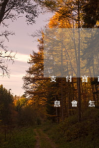 支付寶逾期還一部分罰息-支付寶逾期并罰息會怎么樣
