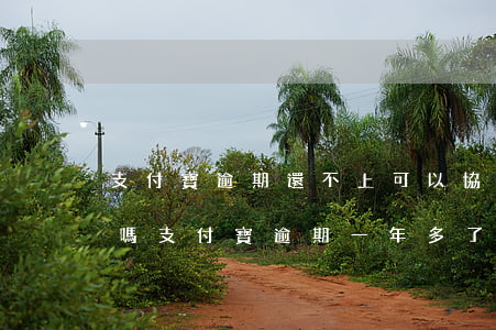 支付寶逾期還不上可以協(xié)商還款嗎(支付寶逾期一年多了還可以協(xié)商還款嗎)