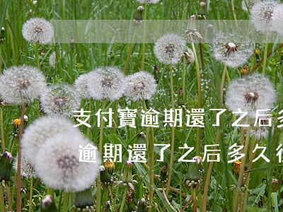 支付寶逾期還了之后多久征信更新-支付寶逾期還了之后多久征信更新一次