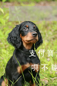 支付寶逾期還了之后(支付寶逾期還了之后花唄不能用了)