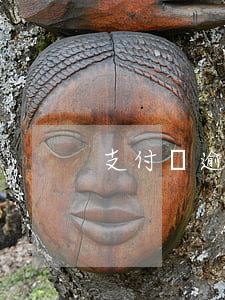 支付寶逾期還了之后花唄不能用了