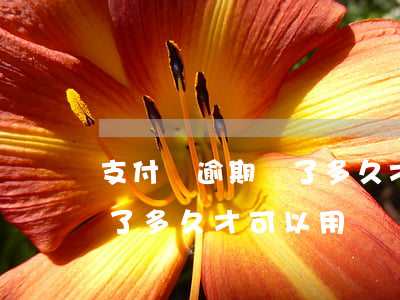 支付寶逾期還了多久才可以用(支付寶逾期還了多久才可以用)