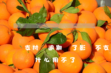 支付寶逾期還了影響不(支付寶逾期之后還了為什么用不了)